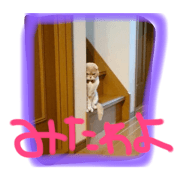 kinakosta