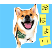 UTAN&KOROMARU1 UTAN&KOROMARU1