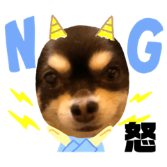 Chihuahua S Song ソラとリズ Lineクリエイターズスタンプ Stamplist Chihuahua S Song ソラとリズ Lineクリエイターズスタンプ Stamplist