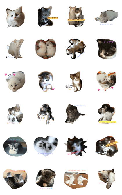 cat's  in  sunny  place village