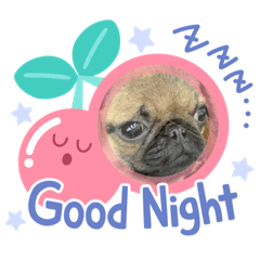 asuka_20210525171951