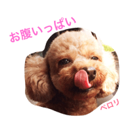 yutoandpichan yutoandpichan