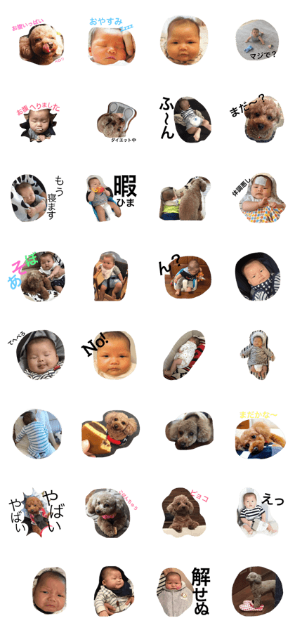 yutoandpichan yutoandpichan