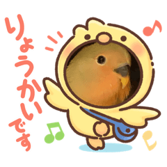 Aoi_20210525164059