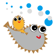 bobo puffer fish bobo puffer fish