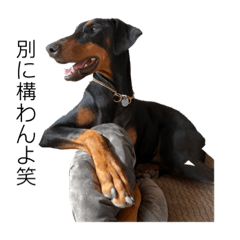 ayumi_20210525203542