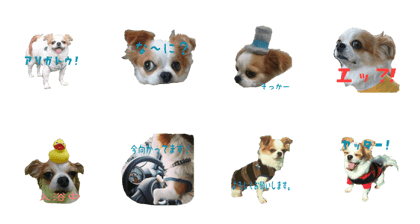 santa's sticker no.2 santa's sticker no.2