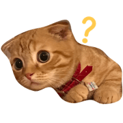 Kouglof the cat Kouglof the cat