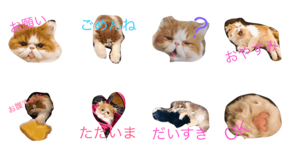 Busakawanahibi Busakawanahibi