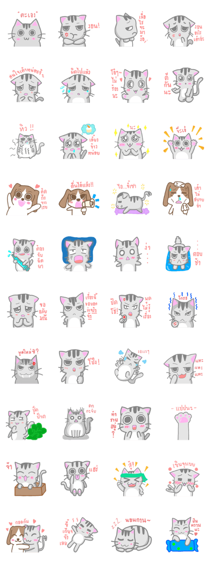 pouted cat pouted cat