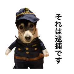 Nanami_20210525212516