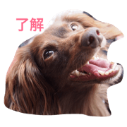 mahalo & akiresu mahalo & akiresu