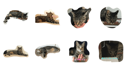 good morning cat good morning cat