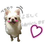 Hirobayashi family Hirobayashi family