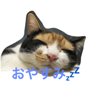 ume-no-kimochi ume-no-kimochi