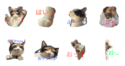 ume-no-kimochi ume-no-kimochi