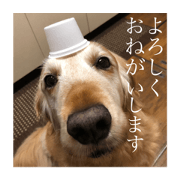 KoRi_20210525231904