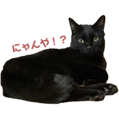 arisa_20210525233935