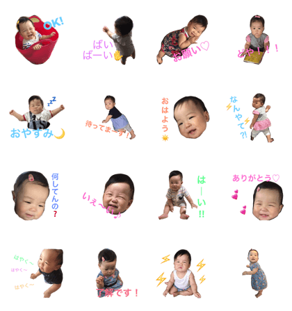 maple_maple maple_maple