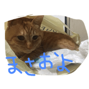 wagayanoshokora wagayanoshokora