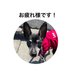 chisa_20210525192807