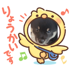 SUZu_20210525201426