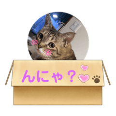 chan_20210526103845