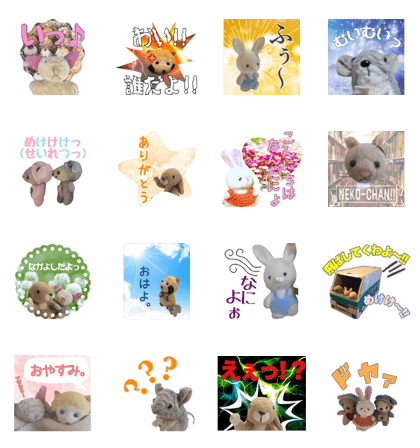 KOANO FAMILY KOANO FAMILY