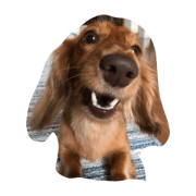 kawaii moka kawaii moka