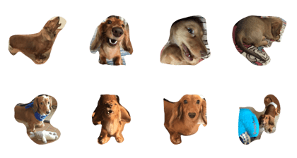 kawaii moka kawaii moka