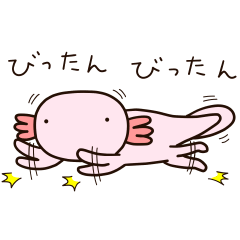 Upata Axolotl 2