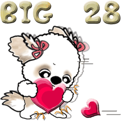 【Big】シーズー犬28『愛がいっぱい』