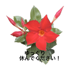 rei_20210525222846