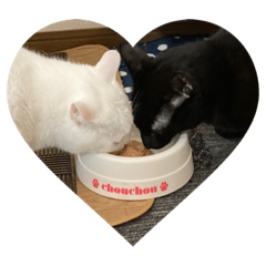 Sally_20210525223155