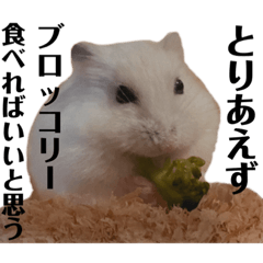miki_20210525231212