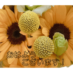 rei_20210525233806