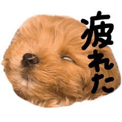IKUMI_20210526001740