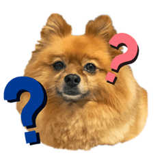 Satoshi_20210526014931