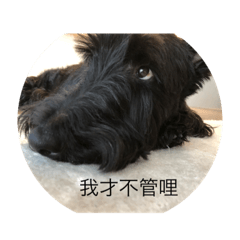 KURO那多樣的表情