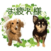 WAGAYANO KUROMAMETAI Sticker