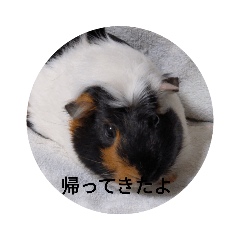 mini_20210526152659