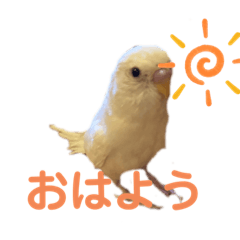 Aoi_20210526161233