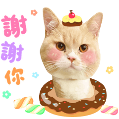 經理先生