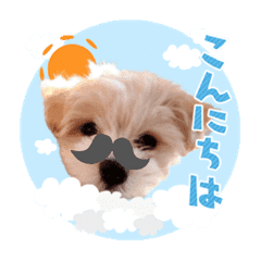 マルプー犬レモンの日常 Lineクリエイターズスタンプ Stamplist