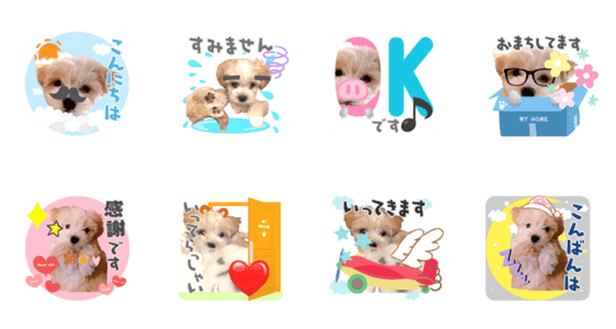 マルプー犬レモンの日常 Lineクリエイターズスタンプ Stamplist マルプー犬レモンの日常 Lineクリエイターズスタンプ Stamplist