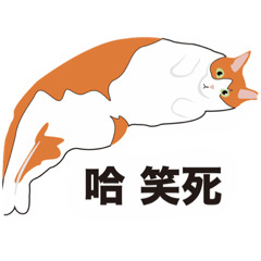 怪姿貓