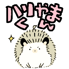 Hariyamakuni is a huge success!