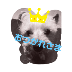Miki_20210526180854