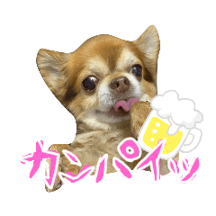 riho_20210526151002