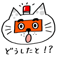 博多にわかにゃんこ パート2 Line スタンプ Line Store 博多にわかにゃんこ パート2 Line スタンプ Line Store